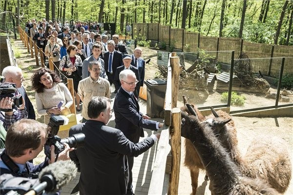 Megnyílt az Andok kalandok