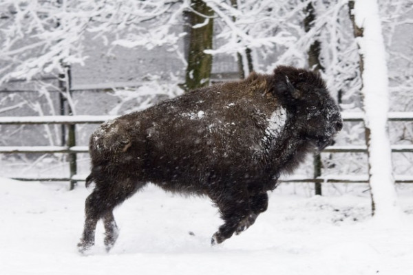 Érdemes a téli időszakban is ellátogatni hozzánk!