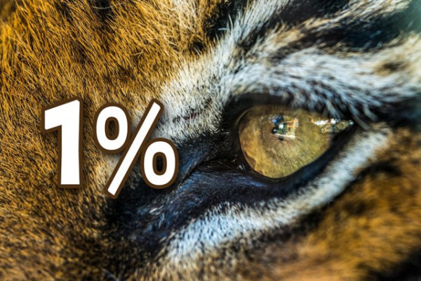 SZÁMÍTUNK RÁ(d)! 1% sokat számít!