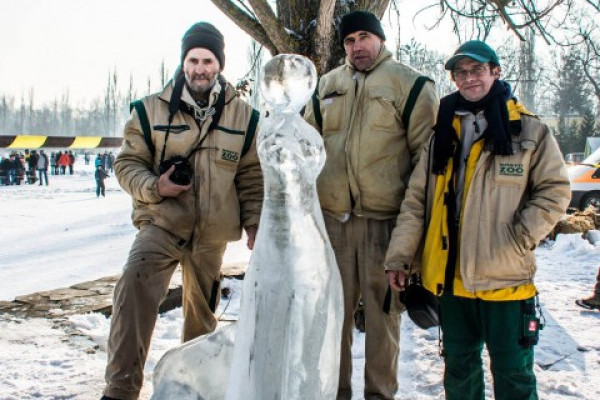 Különdíjas lett Állatparkunk csapatának jégszobra