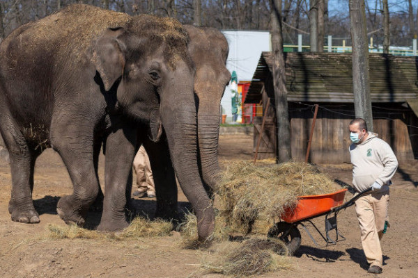 Jobban hiányoztok, mint hinnétek!