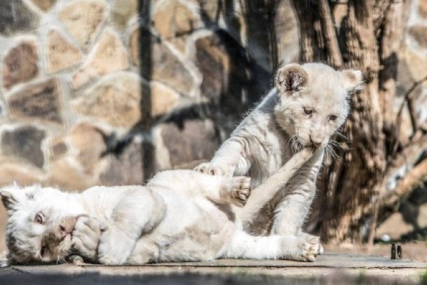 Március 15-én is nyitva vagyunk!
