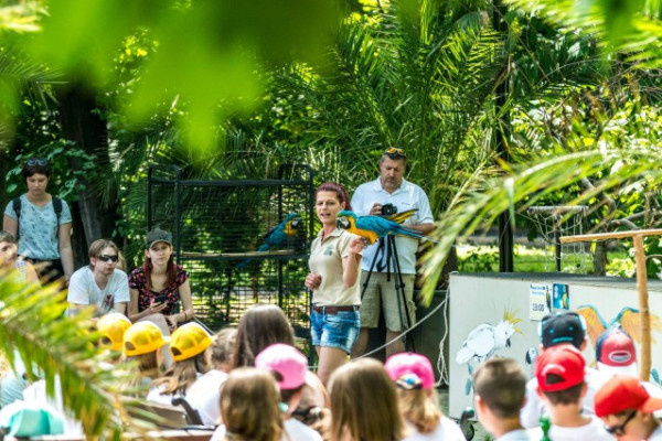 Több ezer fogyatékkal élőt és családját láttuk vendégül