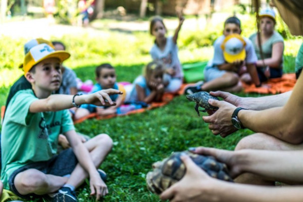 Idén is lesz Zoosuli! :-)