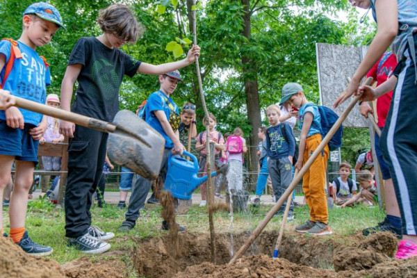 Idén is elültettük az év fáját a Nyírerdő ZRT. segítségével