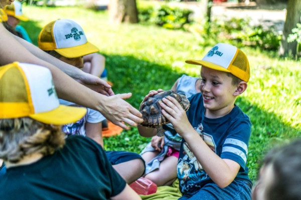 Hétfőn indul a ZooSuli