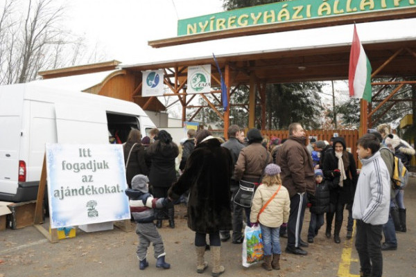A rossz idő ellenére óriási érdeklődéssel zárult a 100Ft-os nap!