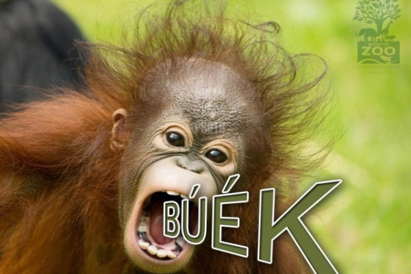 Boldog új évet kívánunk