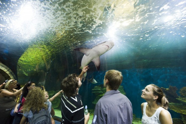 Ma van az Óceánok Világnapja!