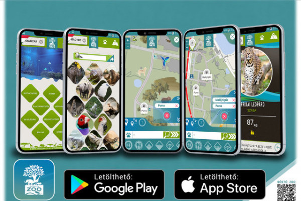 A környezettudatosság jegyében a mai naptól már digitális állatparki térképet használhatnak vendégeink