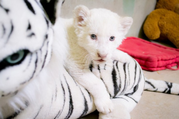 Ősz a Nyíregyházi Állatparkban