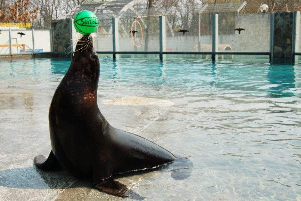 Húsvétkor is különleges élményekkel vár az Állatpark!