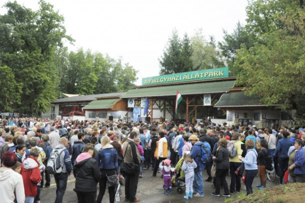ÉFOÉSZ nap az Állatparkban -közel 3000 résztvevővel