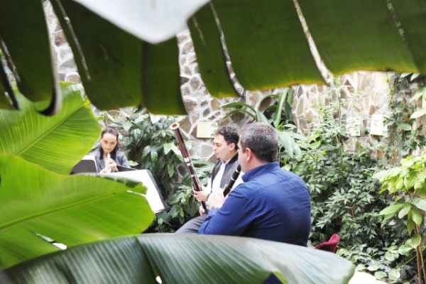 Állatparkunkba is bekopogott a Budapesti Fesztiválzenekar.