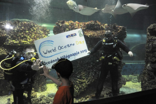 Óriási érdeklődés volt az Óceánok Világnapján Állatparkunkban!