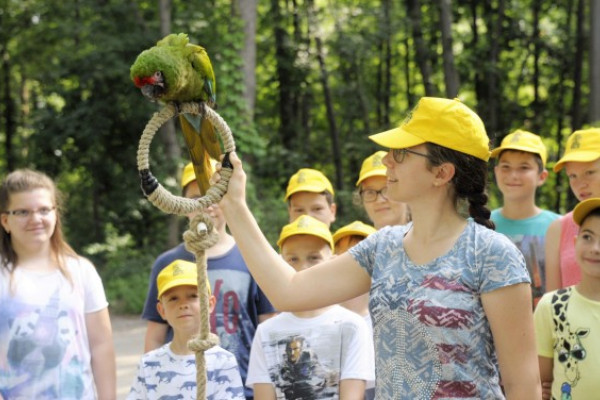 Idén is lesz Zoosuli!