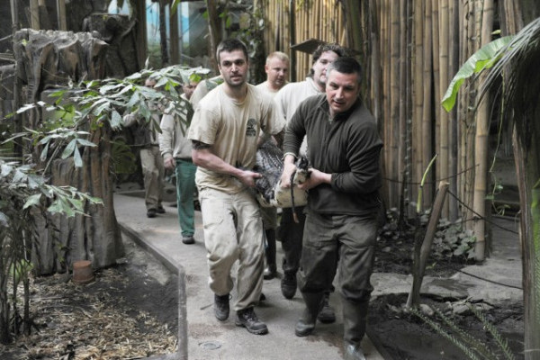 A Viktória ház utolsó lakói is  betelepítésre kerültek!