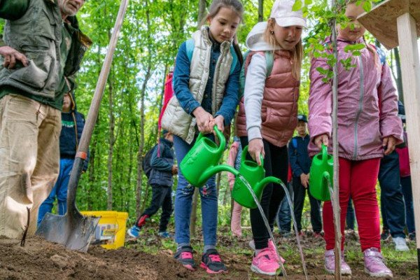 Madarak és fák napja volt Állatparkunkban