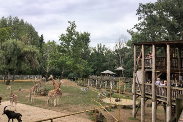 A Nyíregyházi Állatpark lett az Év Turisztikai Attrakciója 2021-ben!