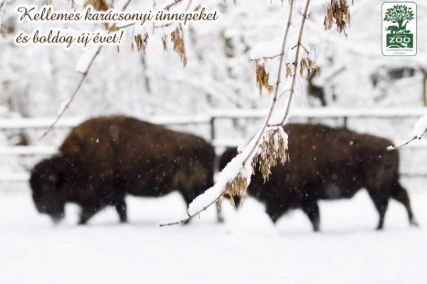 Kellemes karácsonyi ünnepeket