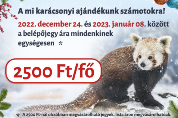 Van egy karácsonyi ajándékunk a számotokra!