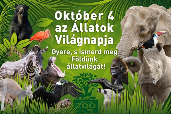 Október 4-én az Állatok Világnapján különleges programokkal várjuk vendégeinket