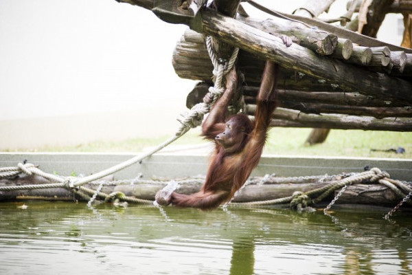 Így hűsölnek a parklakók 
