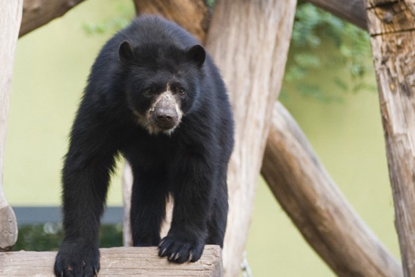 Hamarosan várnak rád az Andok kalandok!