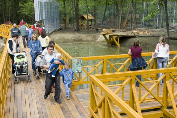 Okos telefonnal is felfedezhető az Állatpark!