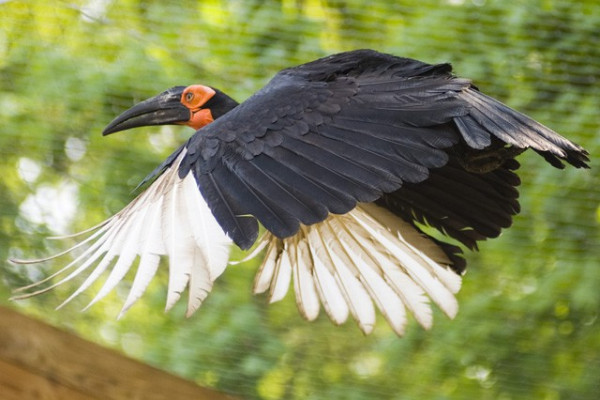Nemzetközi fotós sikerek!