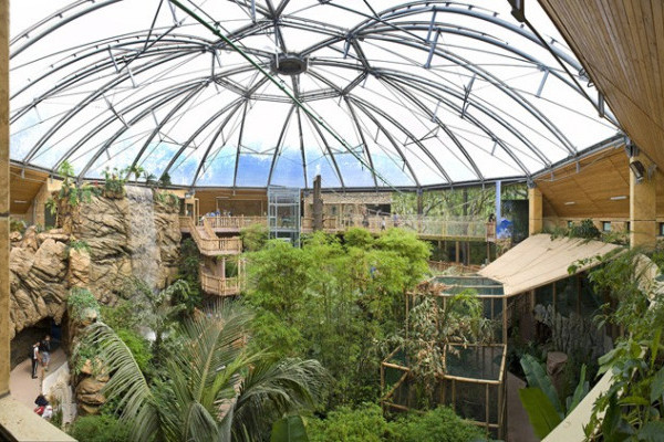 Nemzetközi siker! Újabb díjat nyert a Zöld Piramis!