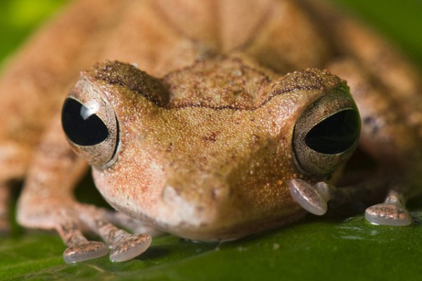 Egyedülálló látványosság nyílt Állatparkunkban!