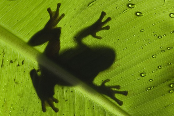 Lájkolj, szavazz és nyerj!