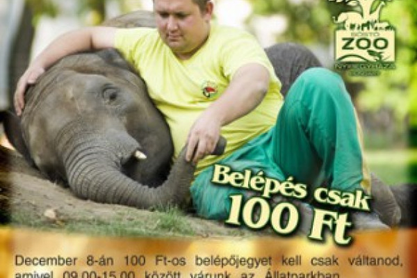 December 8-án nyílt nap a Nyíregyházi Állatparkban!