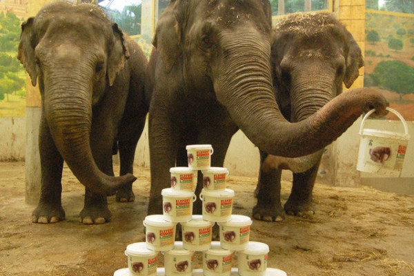 Itt a március, megkezdődik a kerti munkák szezonja!