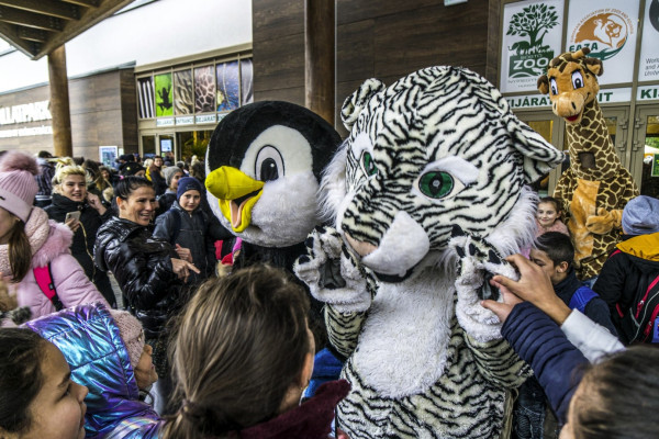 Órási összefogás keretében, rekord nagyságú adomány érkezett Állatparkunkba