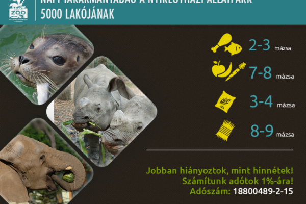 Jobban hiányoztok, mint hinnétek!