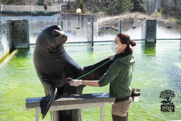 Segítő jegy akció a Nyíregyházi Állatparkban