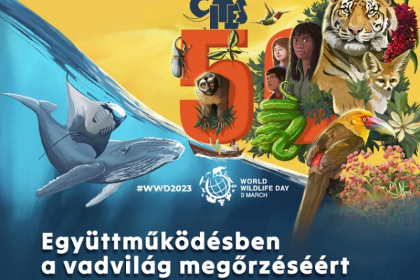 Ma van a Vadvilág Világnapja-- 50 éves a CITES