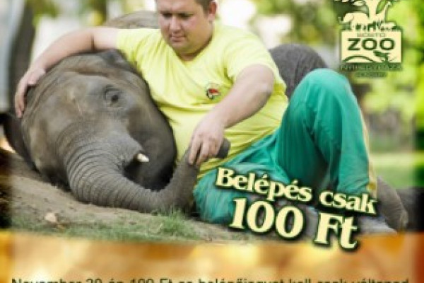 100 Ft-os nap, a szeretet jegyében!