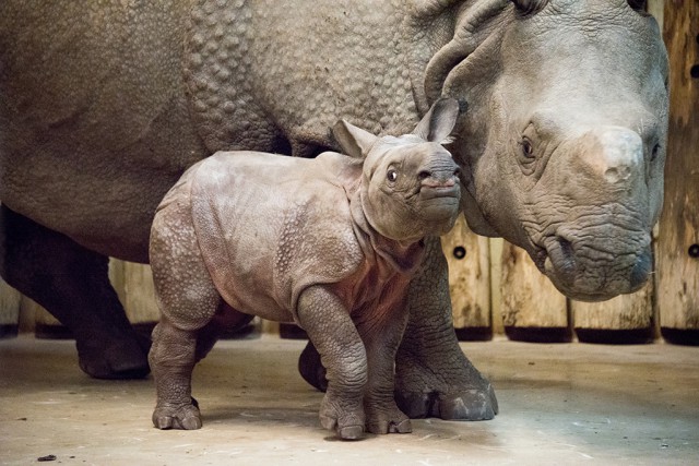 22 éves fennállásunk legsikeresebb évét zártuk