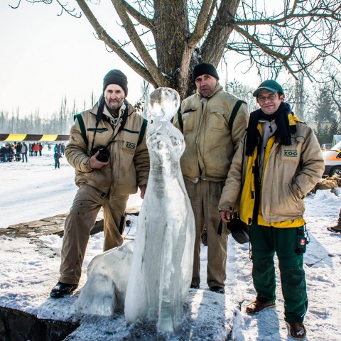 Különdíjas lett Állatparkunk csapatának jégszobra