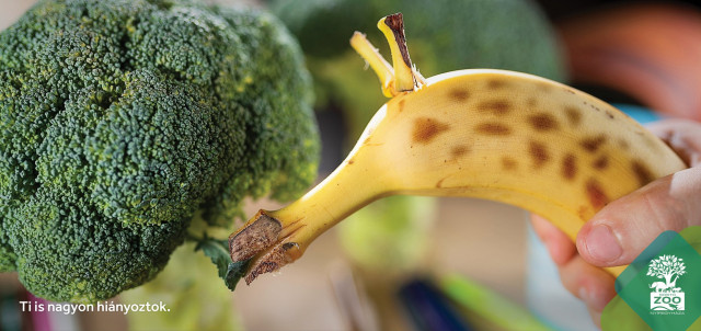 Különleges köztéri kampányt indítottunk