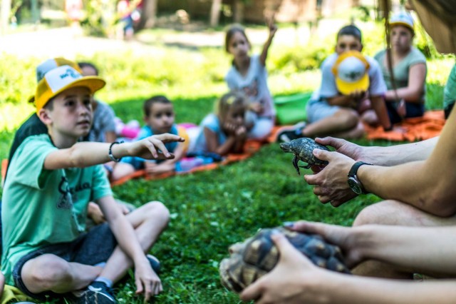 Idén is lesz Zoosuli! :-)