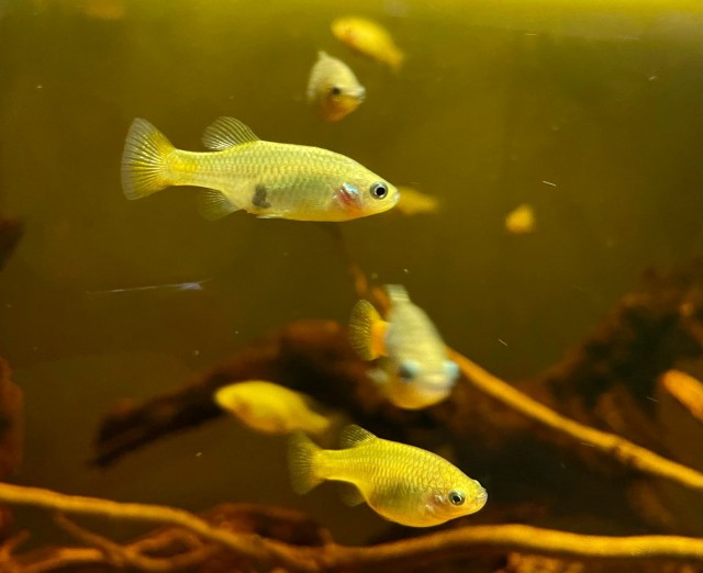 Mert a kicsikre is figyelni kell!