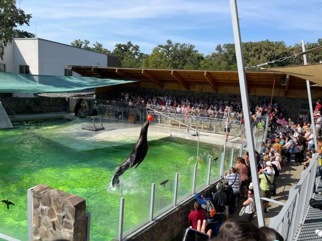 Ez a te napod rendezvény az Állatparkban