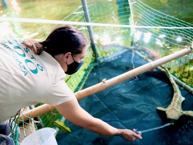 Megérkezett a 2022-es esztendő első látványossága