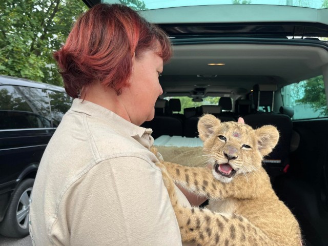 Újabb mentett állat érkezett a háború sújtotta Ukrajnából Állatparkunkba