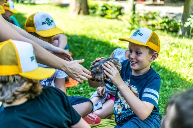 Hétfőn indul a ZooSuli