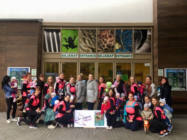 Babahordozó nap az Állatparkban